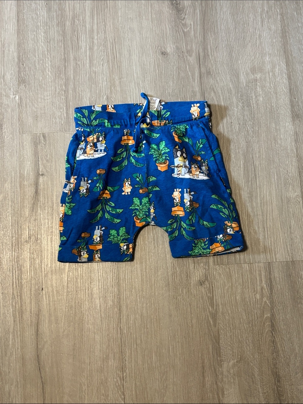 Bonds Blue Tropical Print Kids Shorts